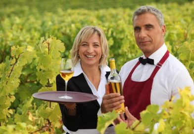 Test hva du kan om vin