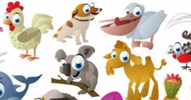 10 quiz med svar - Dyrenes verden 1