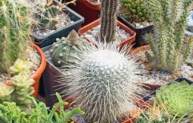 Lett blanding 2 – Quiz spørsmål og svar 10 quiz med svar - Lett blanding 2