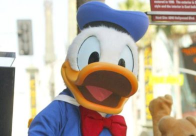 Hva kan du om Donald Duck