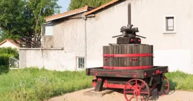 Ord og uttrykk om vin del 1