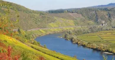 Vindistrikt og vinland