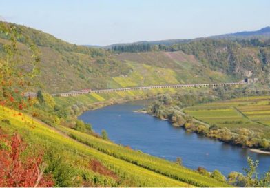 Vindistrikt og vinland