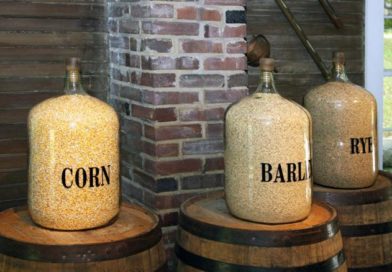 Kultur quiz 6 ølbrygging