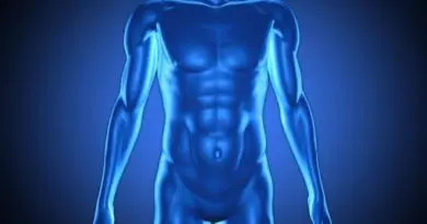 Vitenskap quiz 5 menneskekroppen