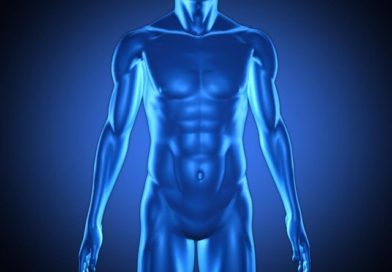 Vitenskap Quiz – 5 Vitenskap quiz 5 menneskekroppen