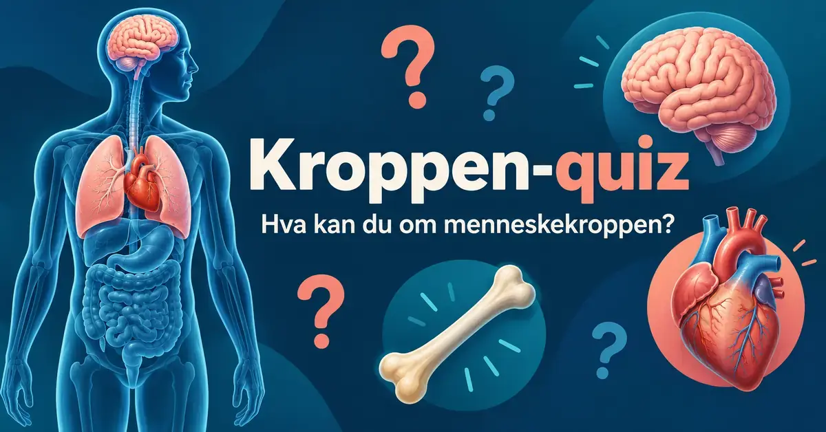 Illustrasjon av menneskekroppen med synlige organer, en hjerne, et hjerte, en knokkel og spørsmålstegn ved teksten «Kroppen-quiz: Hva kan du om menneskekroppen?».